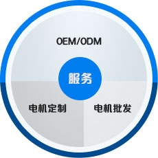 皖南電機 中國工業用電機生產基地