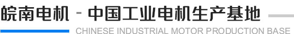 皖南電機 中國工業用

電機生產基地
