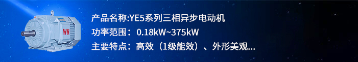 YE5系列超高效電機
